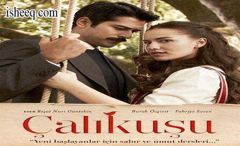 مسلسل طائر النمنمة الحلقة 29