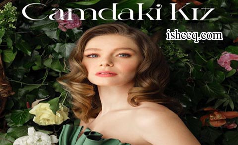 مسلسل فتاة النافذة الحلقة 74