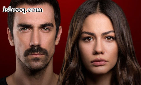 مسلسل منزلي الحلقة 42