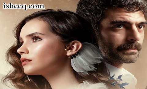 مسلسل الحمامة الحلقة 1