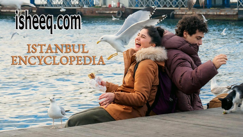 مسلسل موسوعة اسطنبول الحلقة 6
