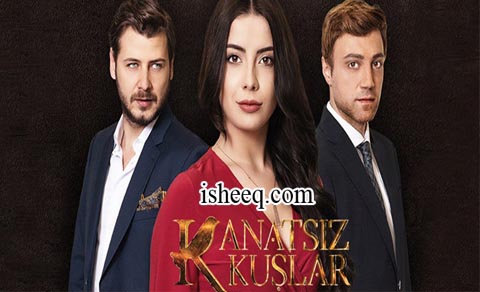 مسلسل طيور بلا اجنحة الحلقة 6
