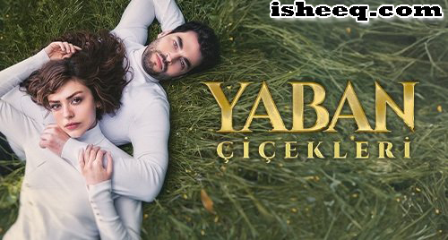 مسلسل الازهار البرية الحلقة 2