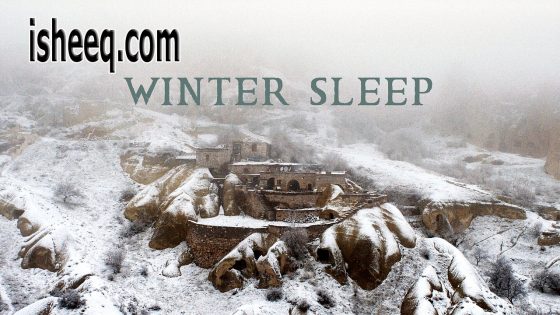 فيلم Kış Uykusu مترجم | البيات الشتوي